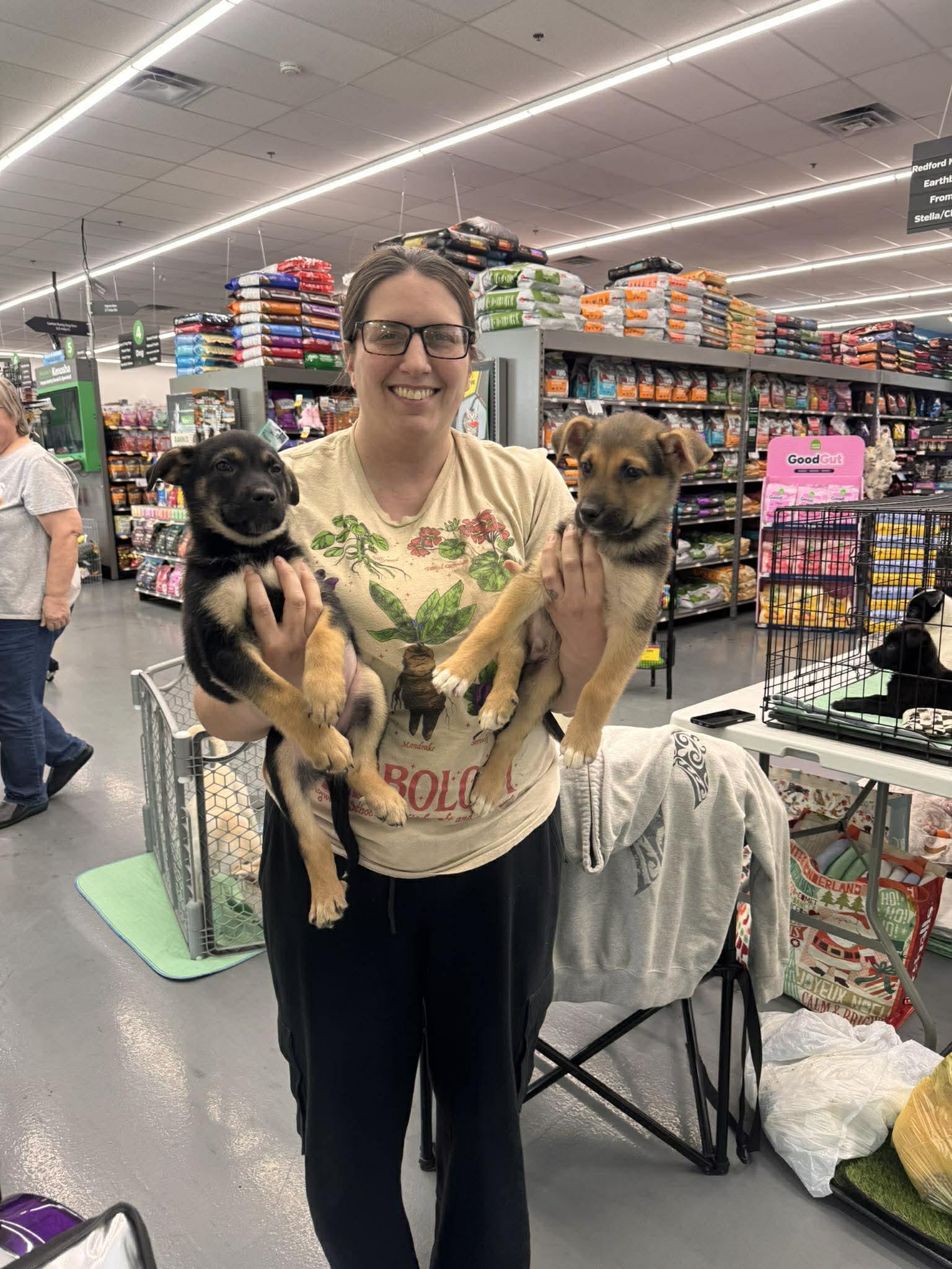 Enlarge Gaston, a ADOPTABLE Mixed Breed in Kenosha, WI image 4/5