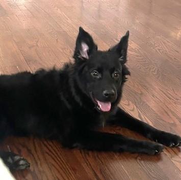 Brody photo 1