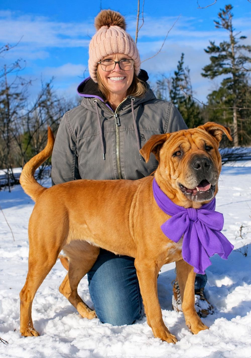 Enlarge Molly, an adoptable mixed breed in Cheboygan, MI image 4/6