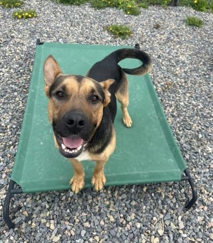 Smoke — thumbnail 2