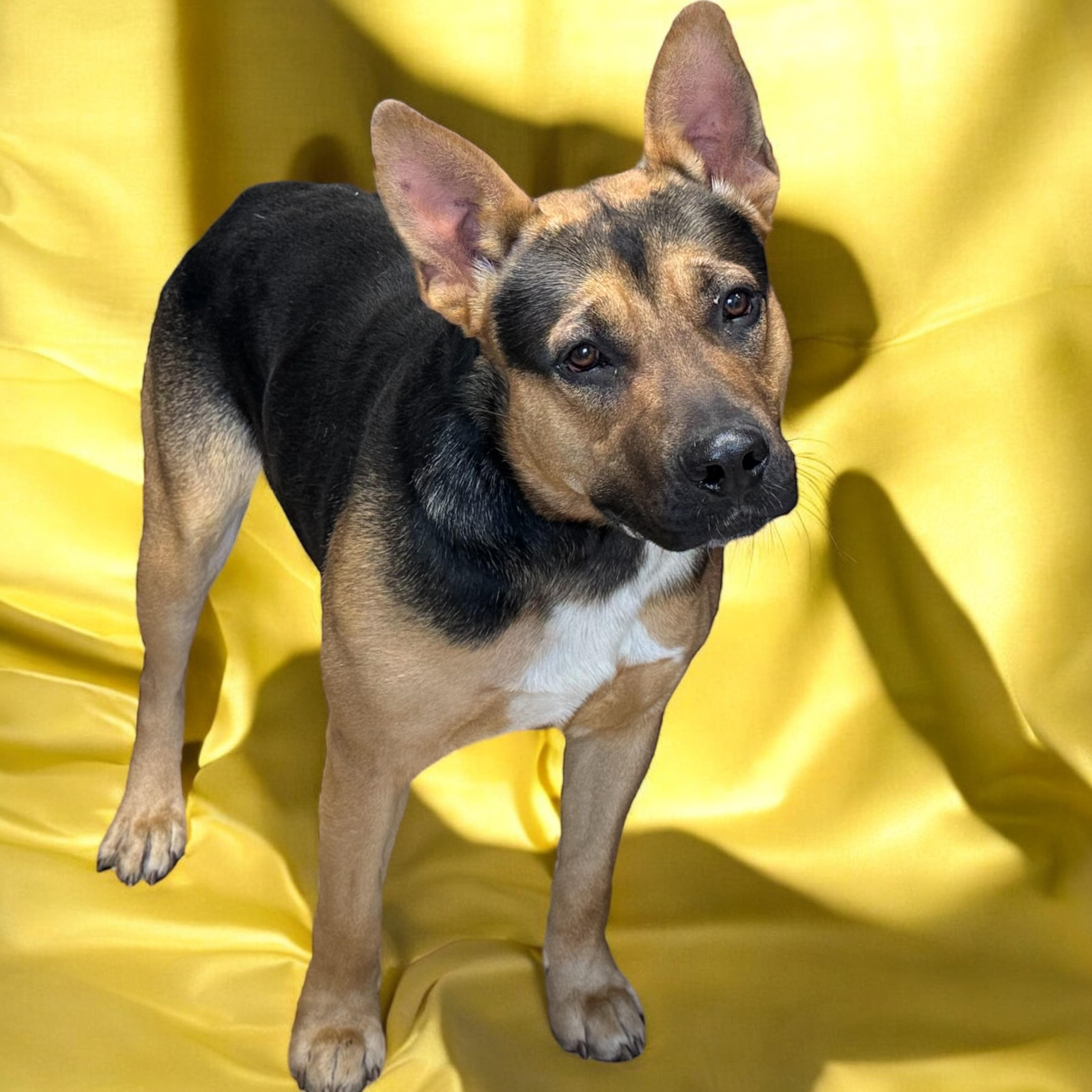 Smoke — thumbnail 3