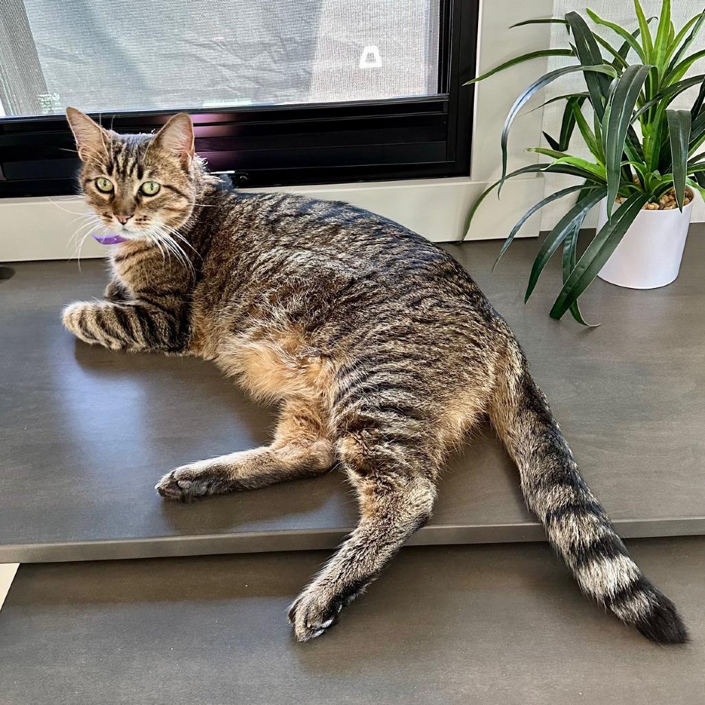 Sheldon — thumbnail 3