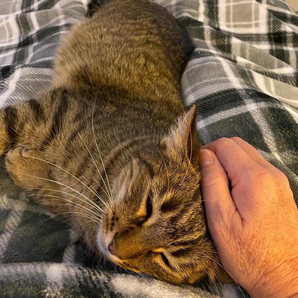 Sheldon — thumbnail 5