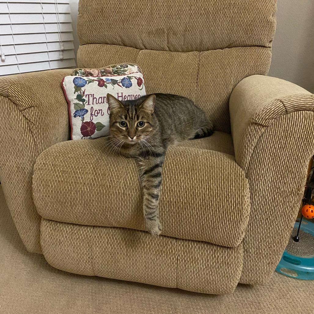 Sheldon — thumbnail 6