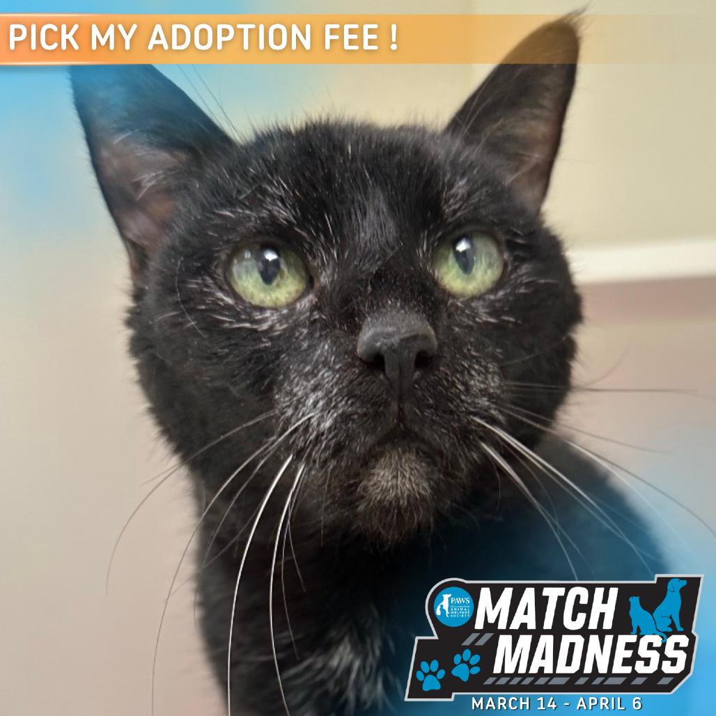 Tampa Bae — thumbnail 6