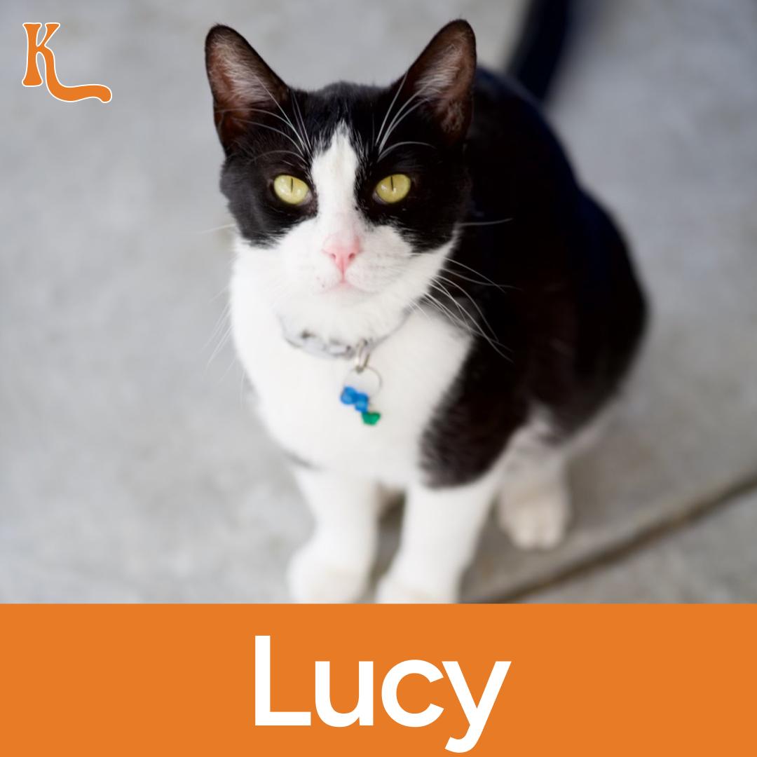 Marcy (Aka Lucy)