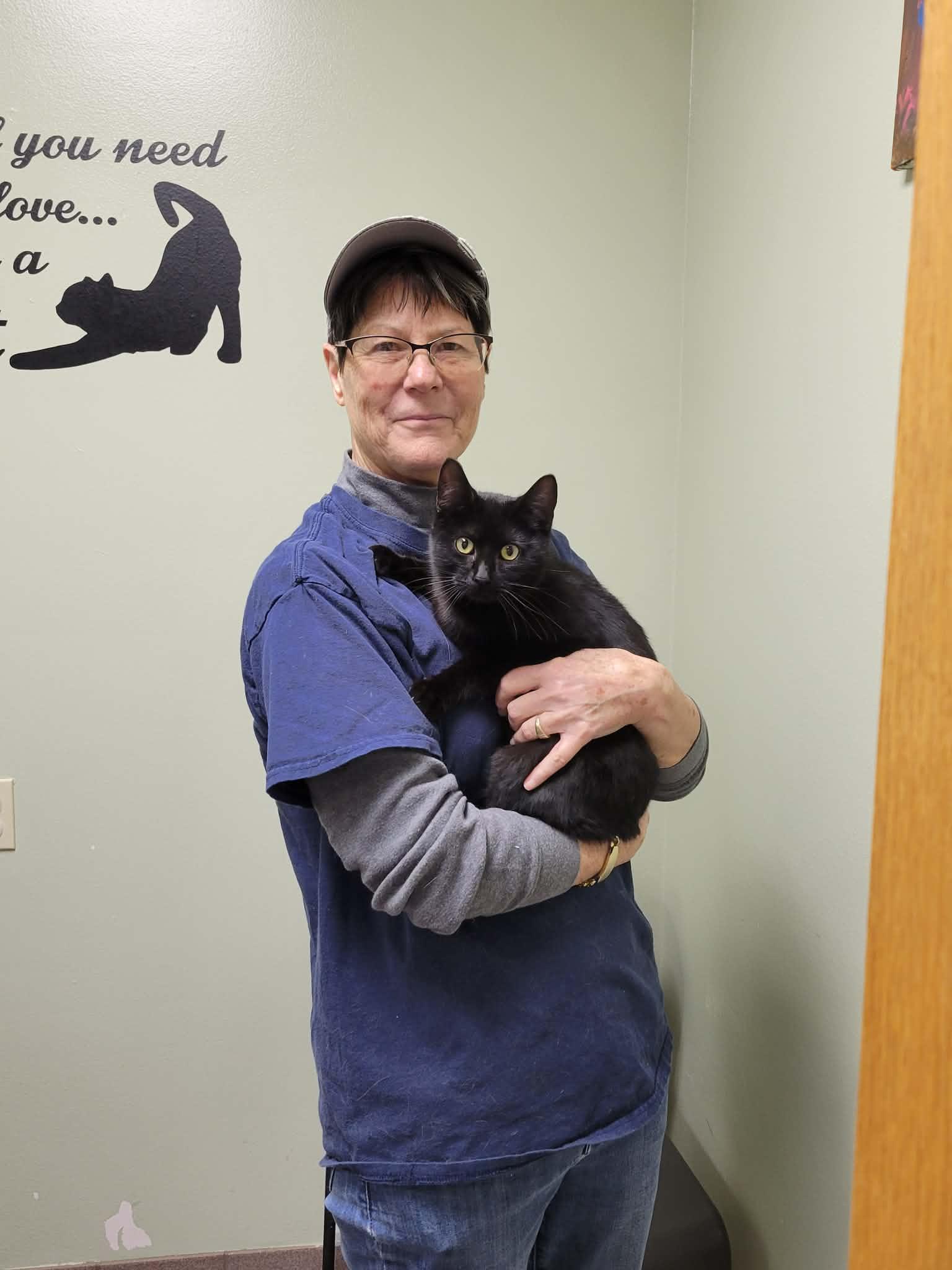 Enlarge Hermie, a ADOPTABLE mixed breed in Portage, WI image 1/4