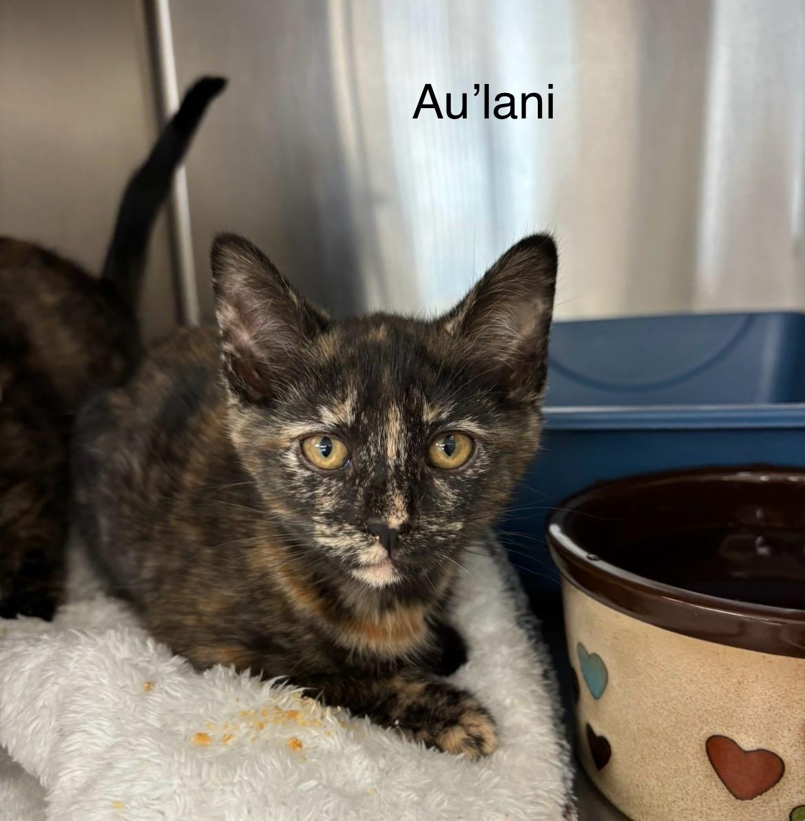 Au’Lani