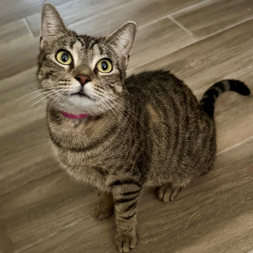 Posy — thumbnail 2