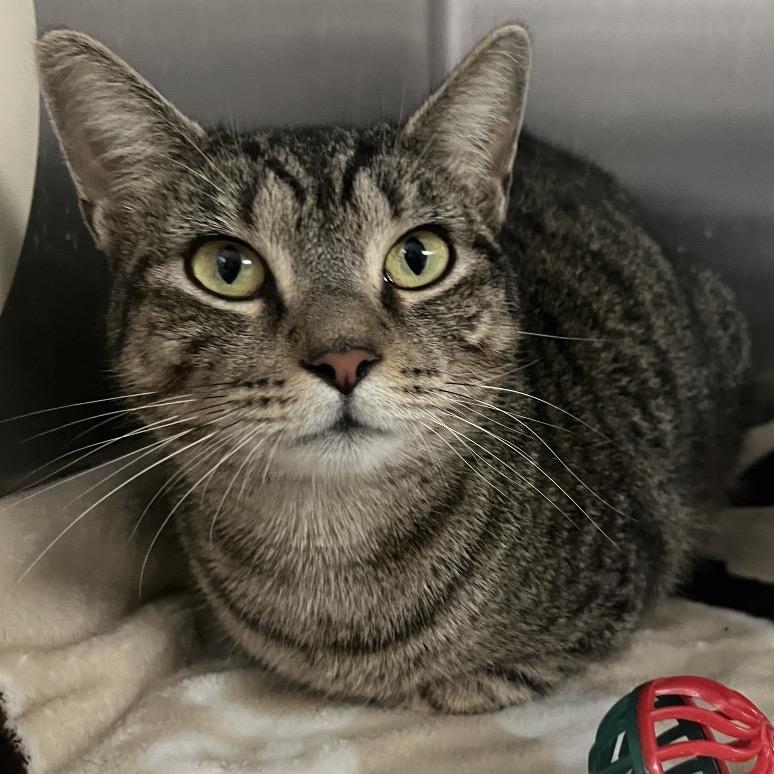 Posy — thumbnail 3