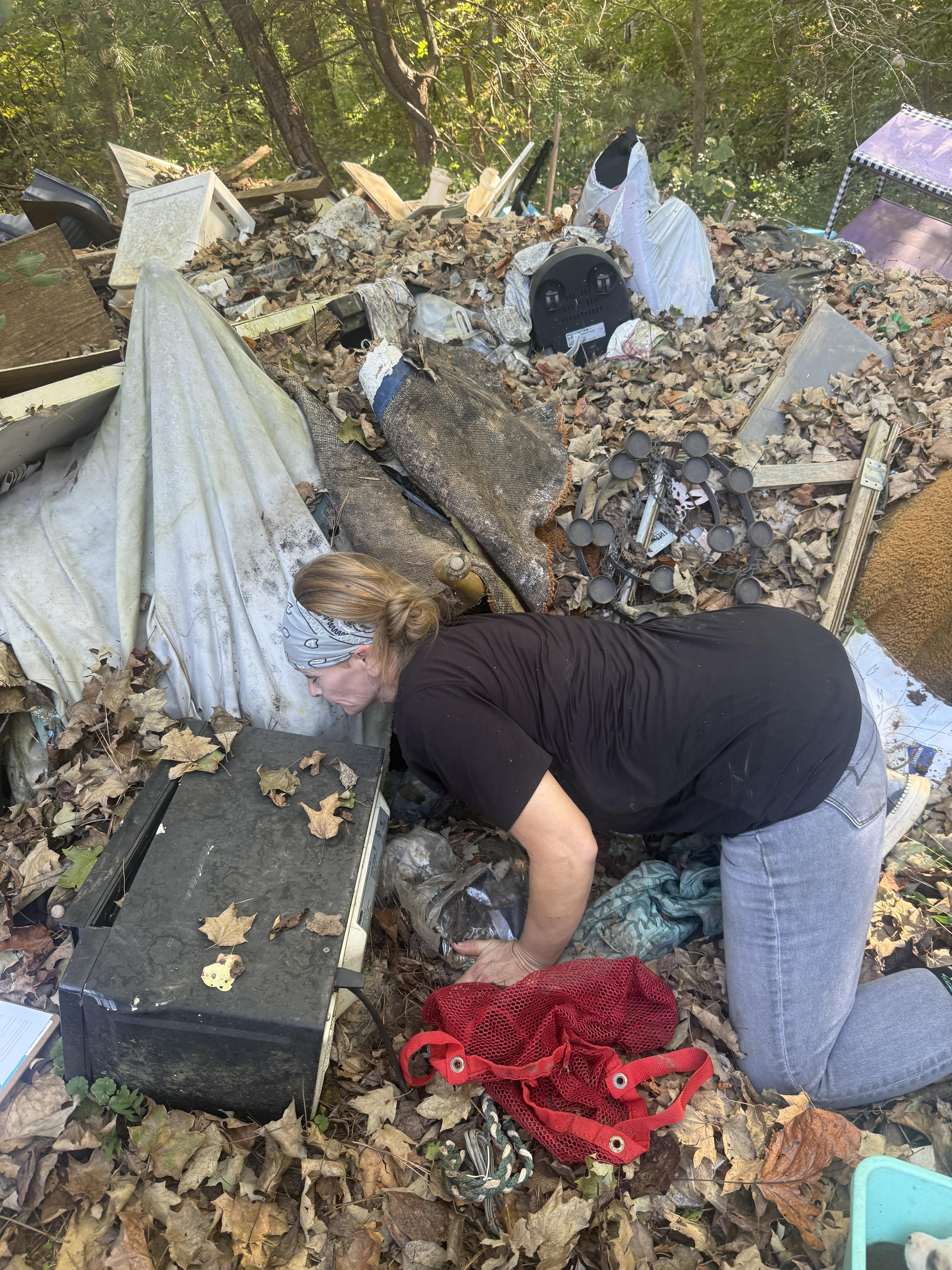 Enlarge Dina, a Adoptable mixed breed in Erin, TN image 6/6