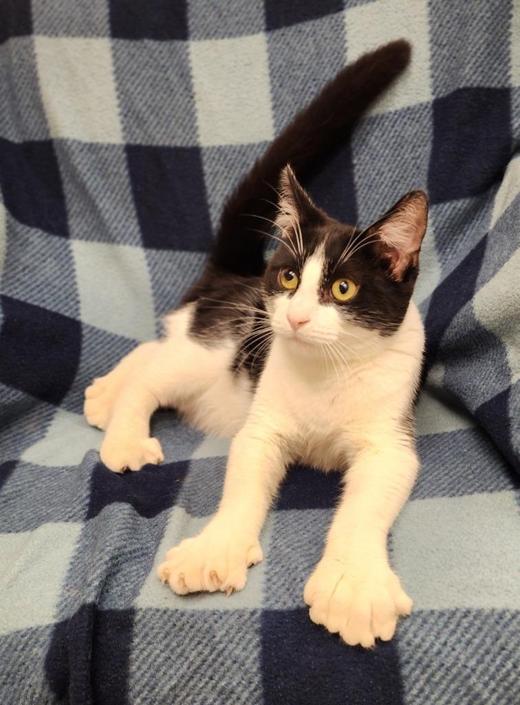 Tux photo