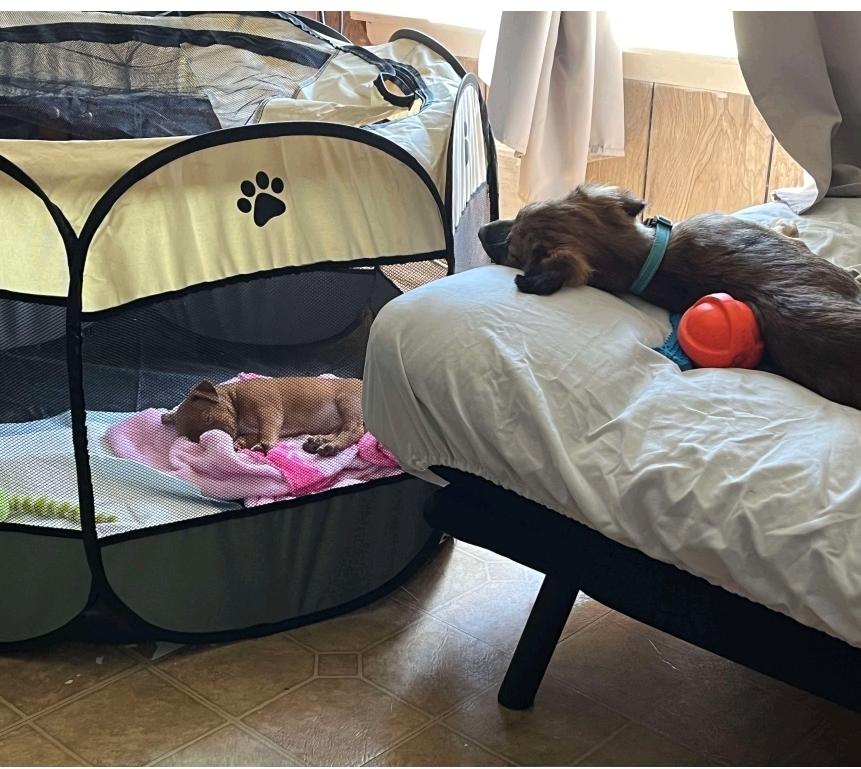 Zeek & Sofia