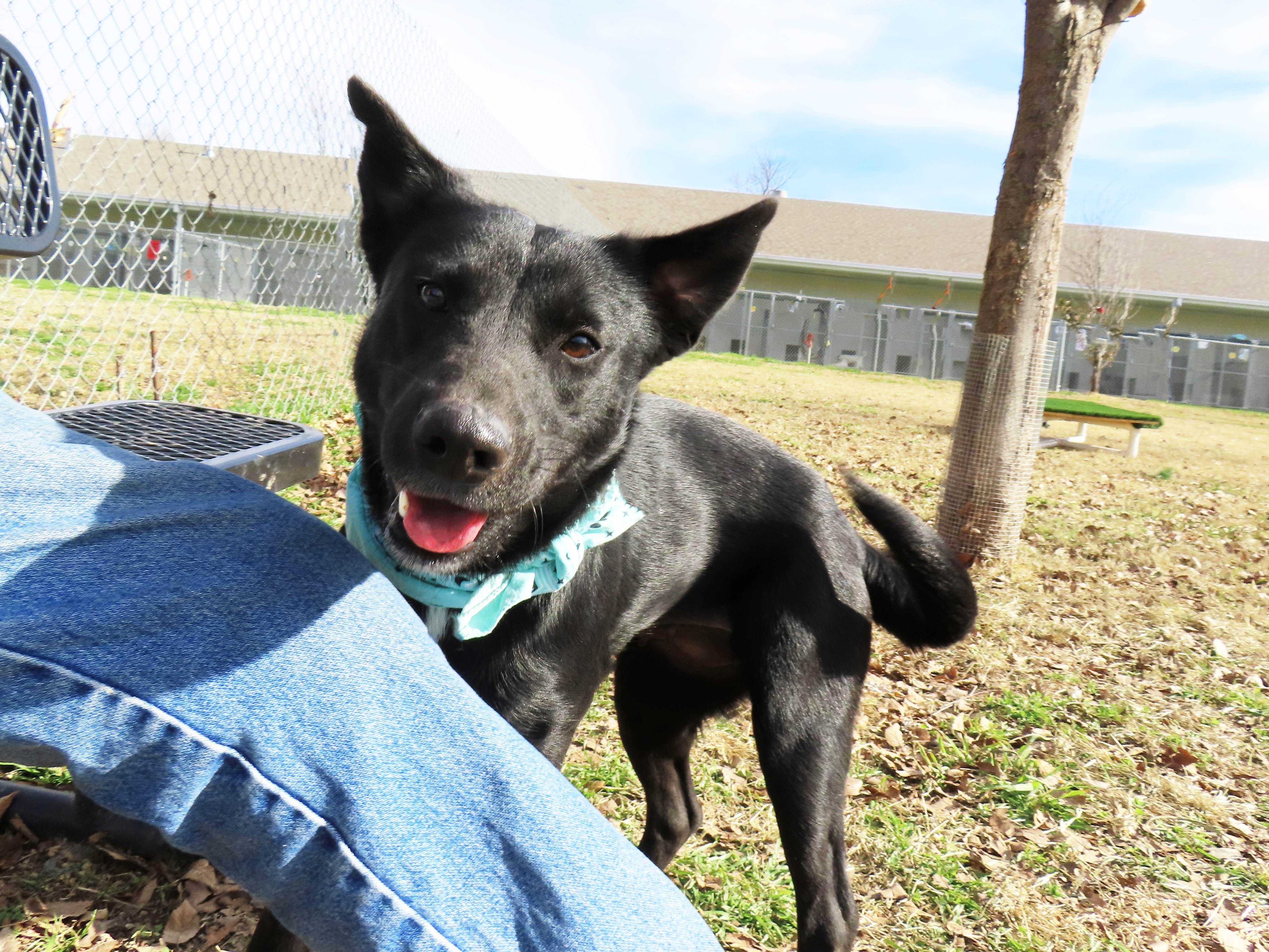 Katie  C thumbnail 2