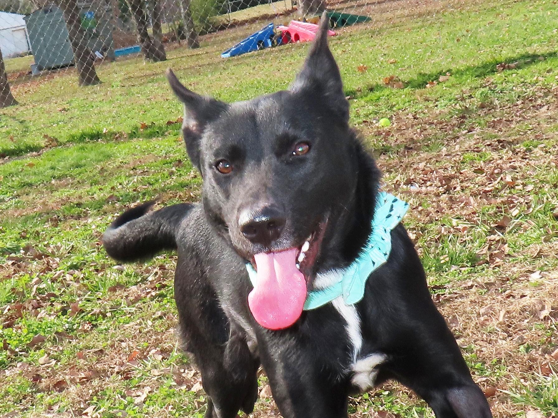 Katie  C thumbnail 3