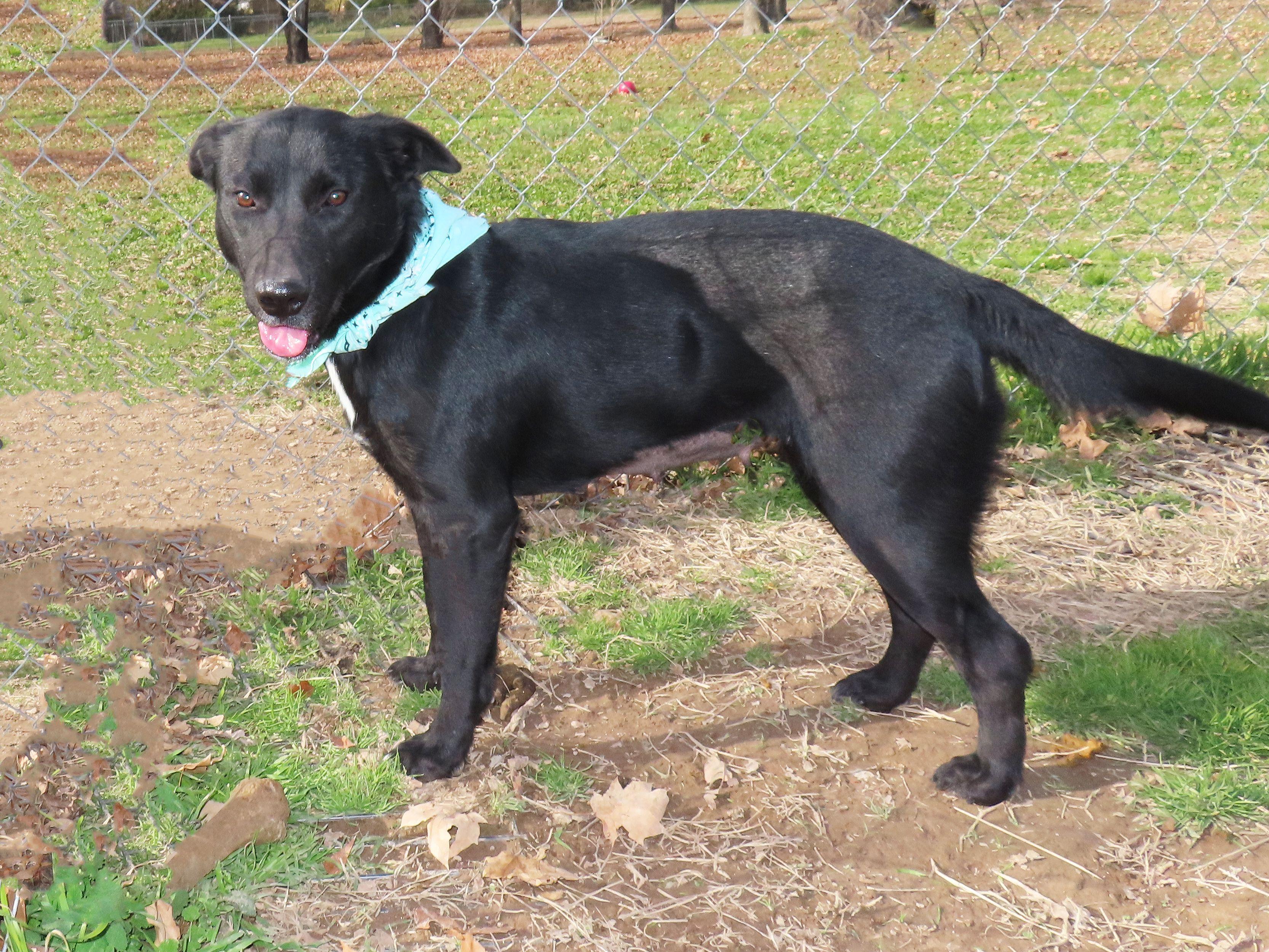 Katie  C thumbnail 3