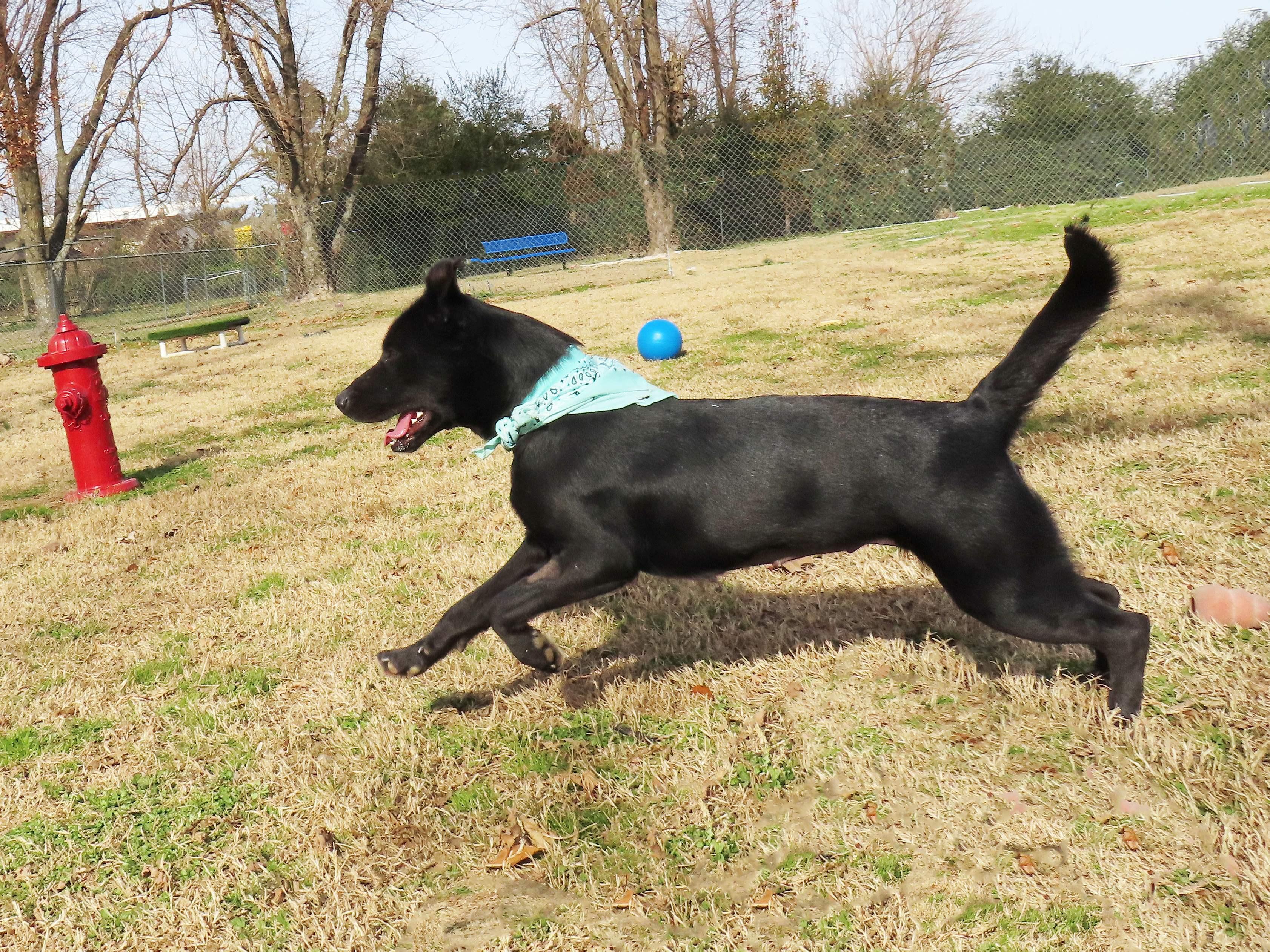 Katie  C thumbnail 5