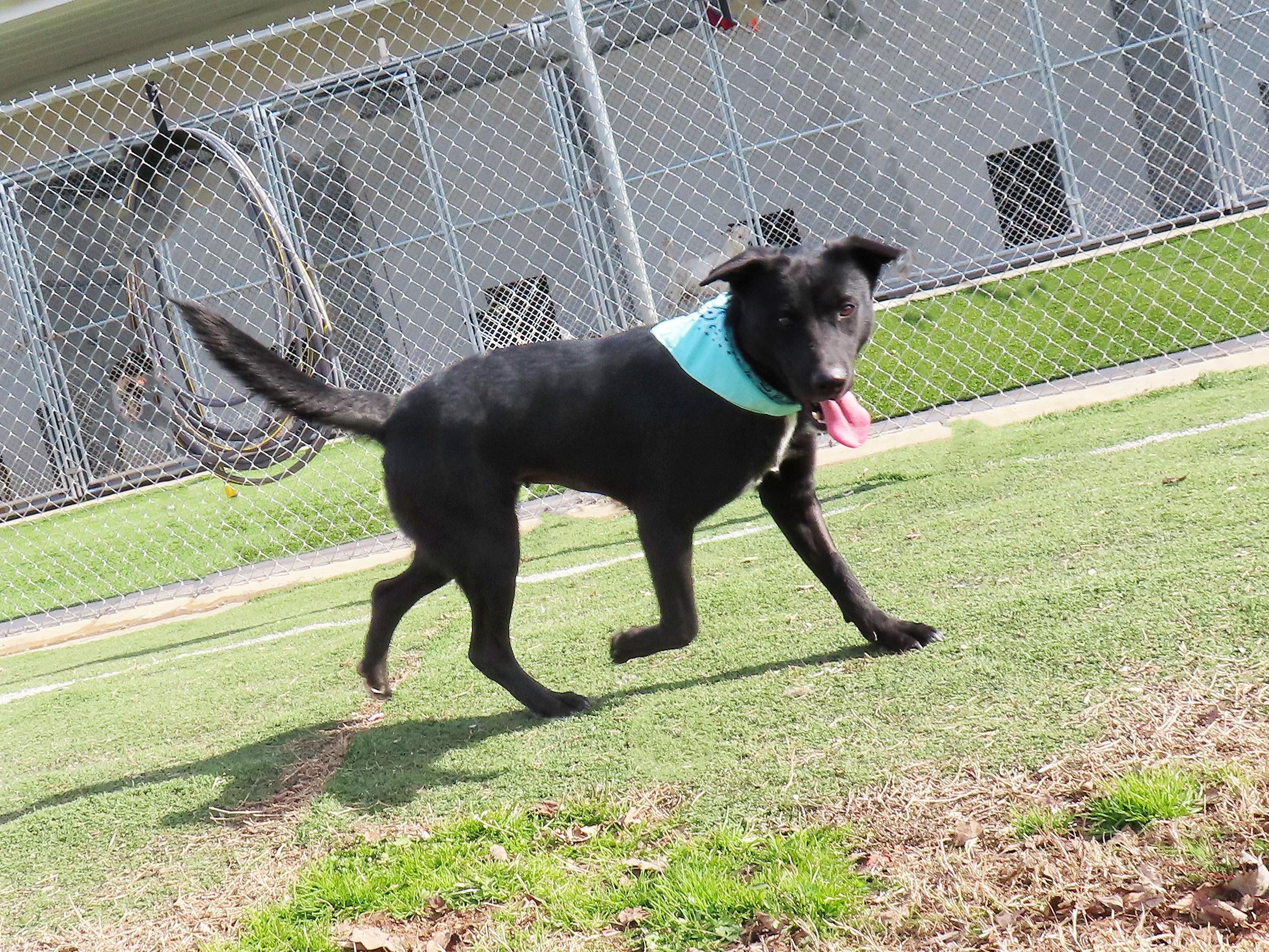 Katie  C thumbnail 5