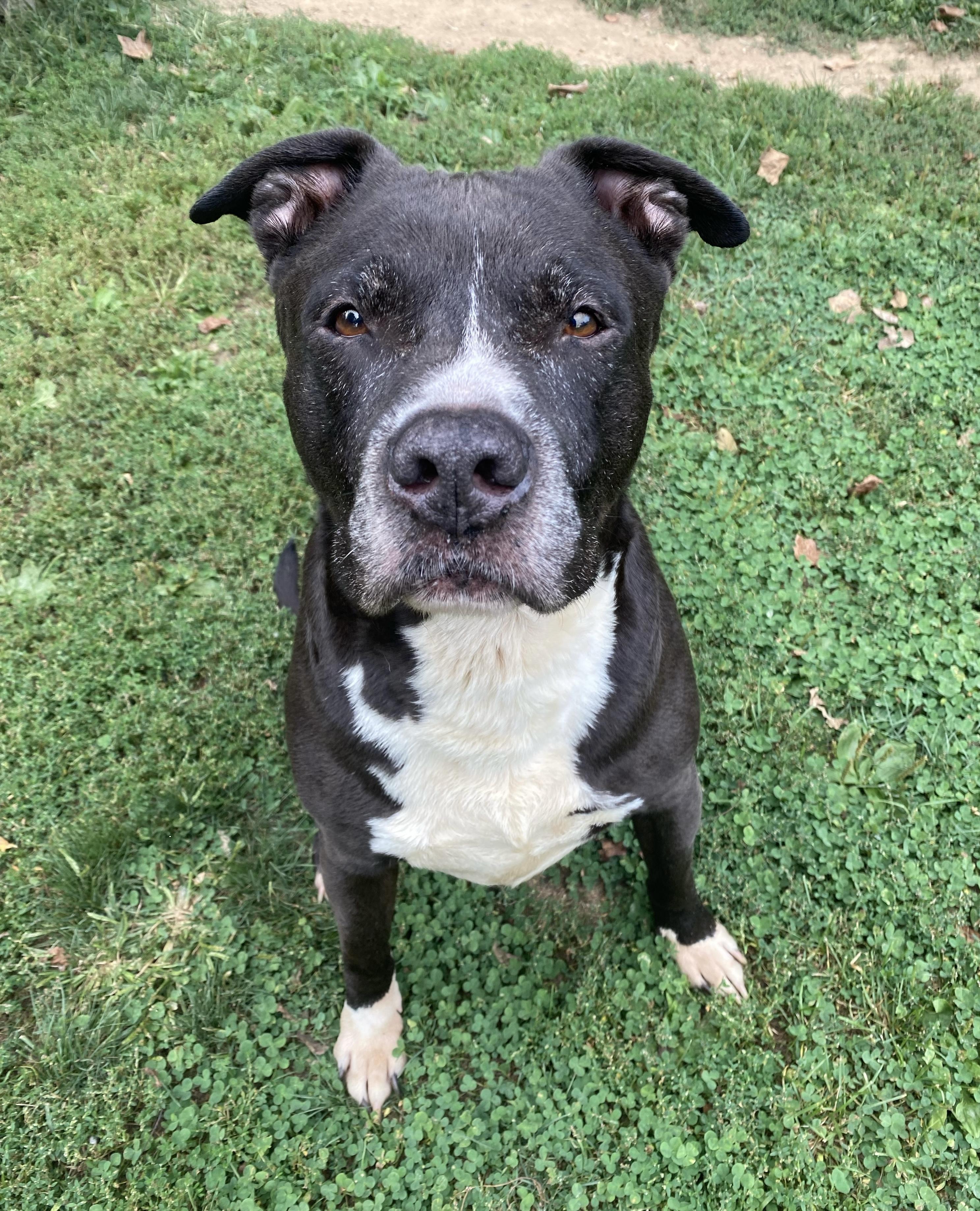 Maximiliano thumbnail 3