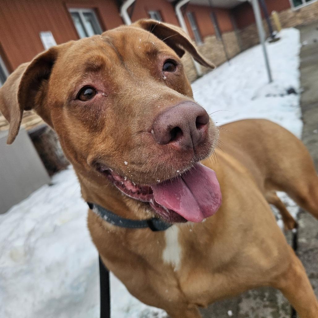 Maggie — thumbnail 2