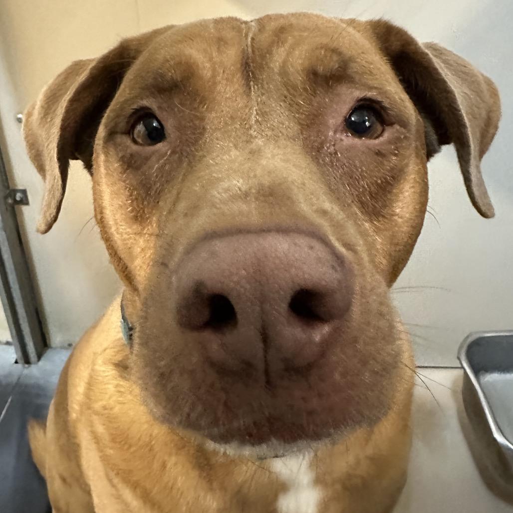 Maggie — thumbnail 3