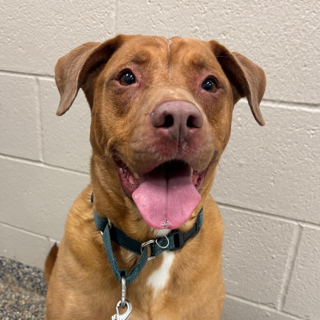 Maggie — thumbnail 4