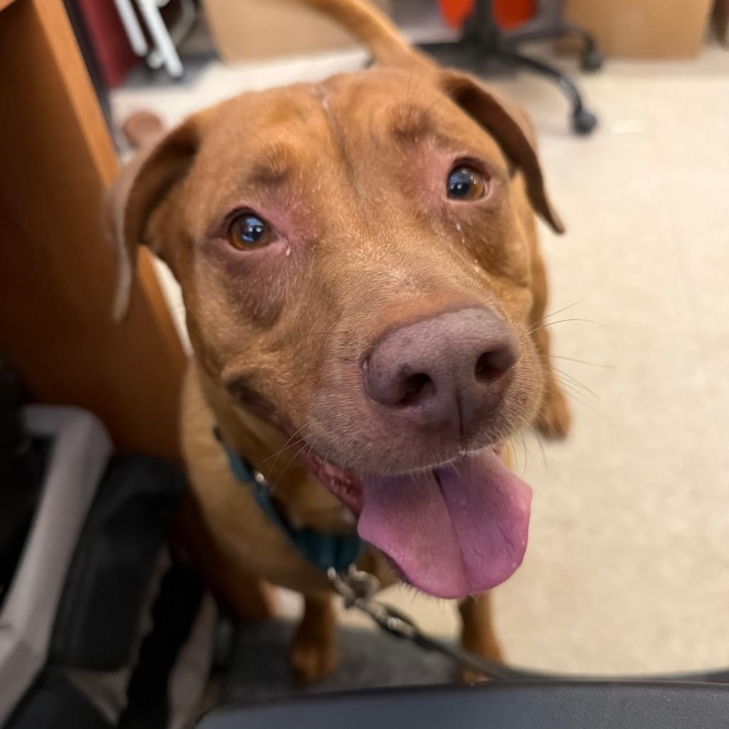 Maggie — thumbnail 5