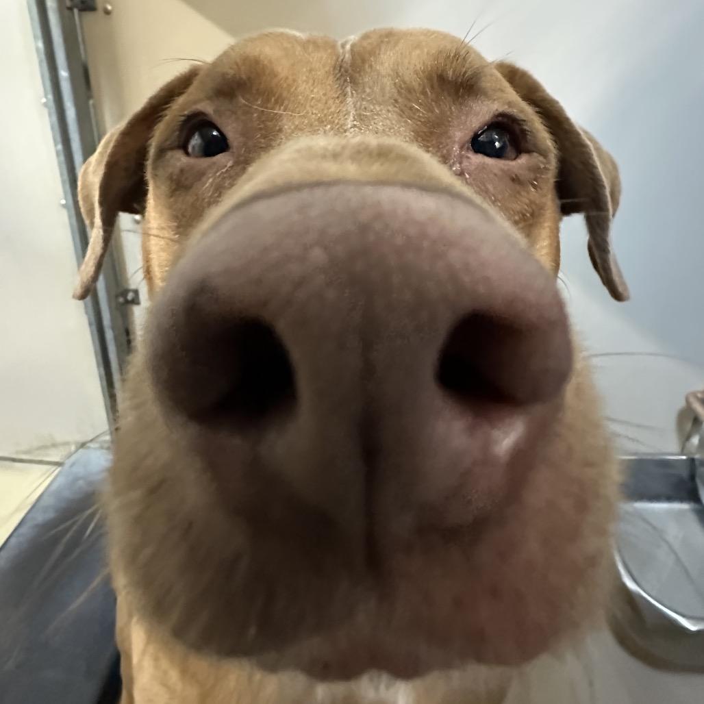 Maggie — thumbnail 6