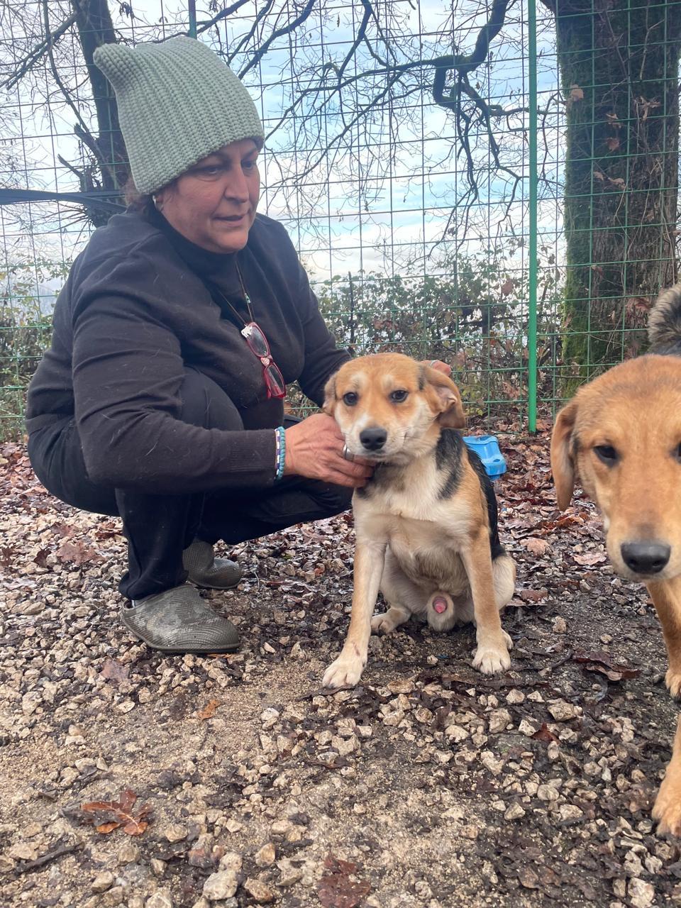 Victor — thumbnail 3