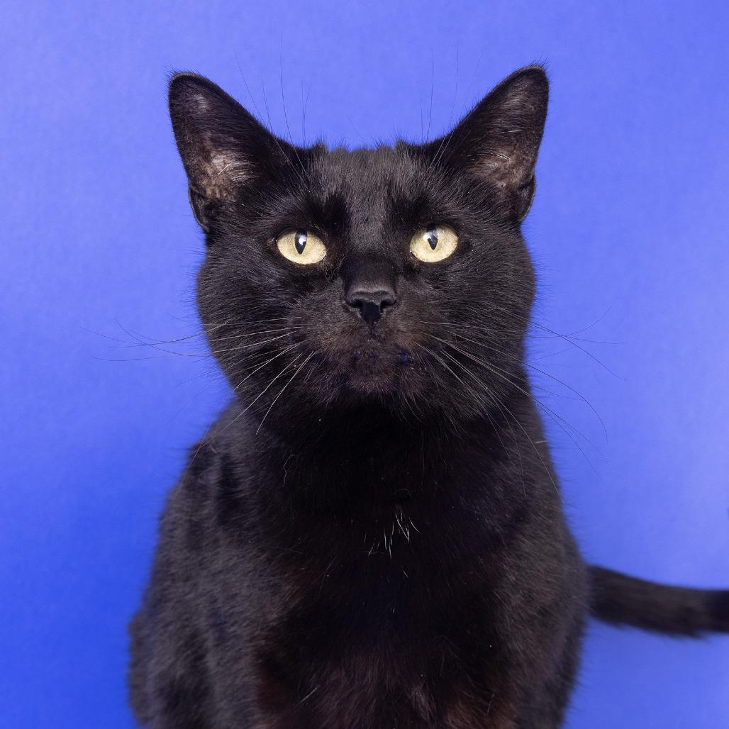 Loretta Jean — thumbnail 2