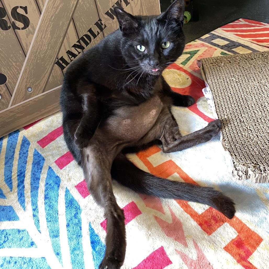 Loretta Jean — thumbnail 3