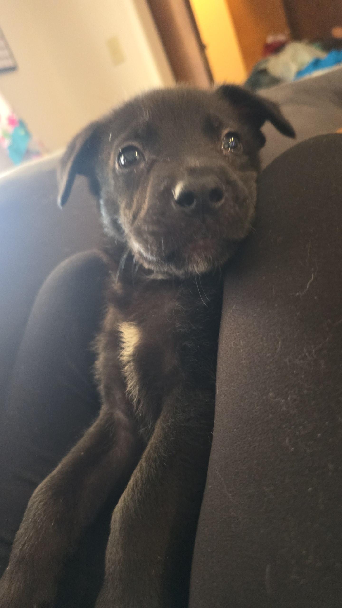 Jet