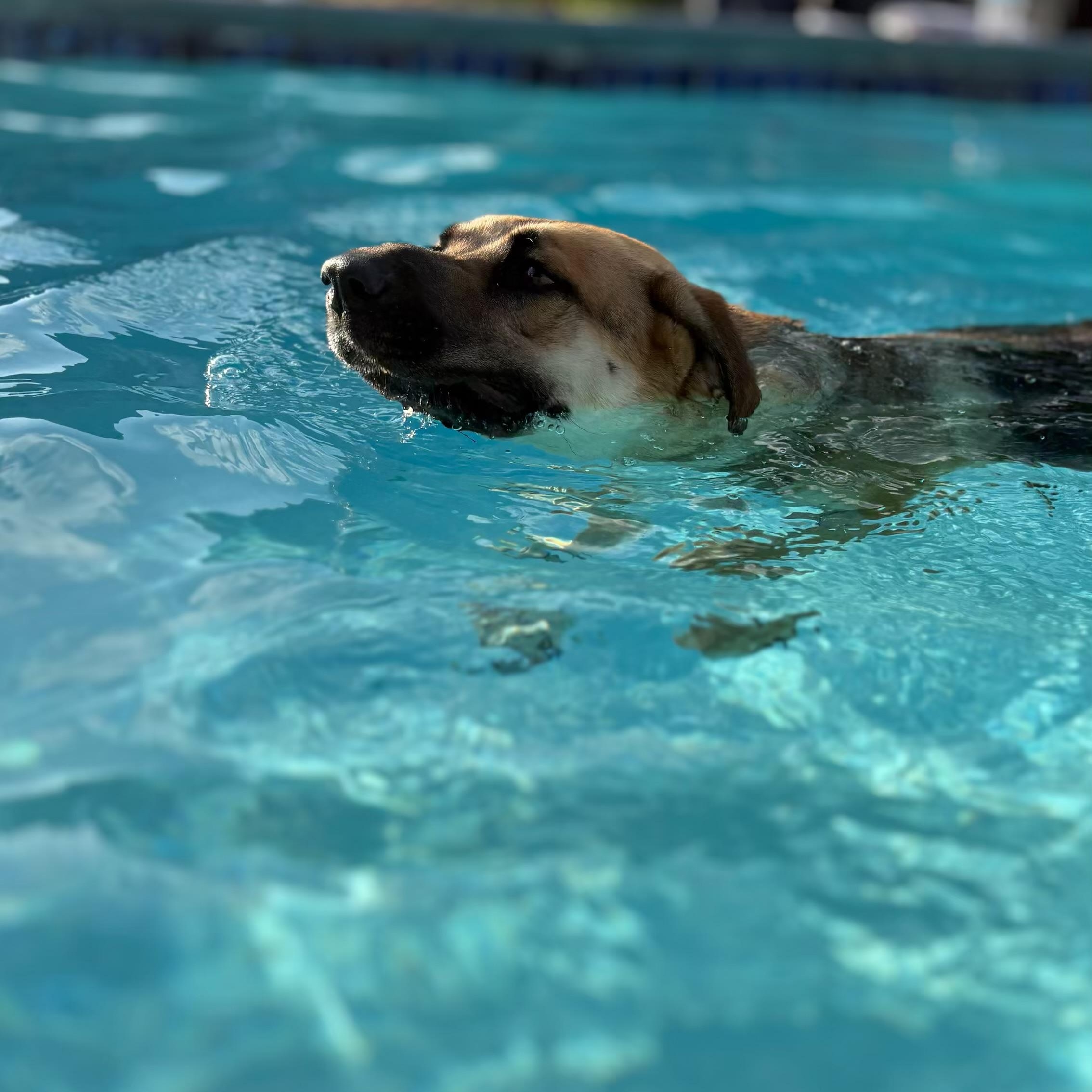 Crosby — thumbnail 2