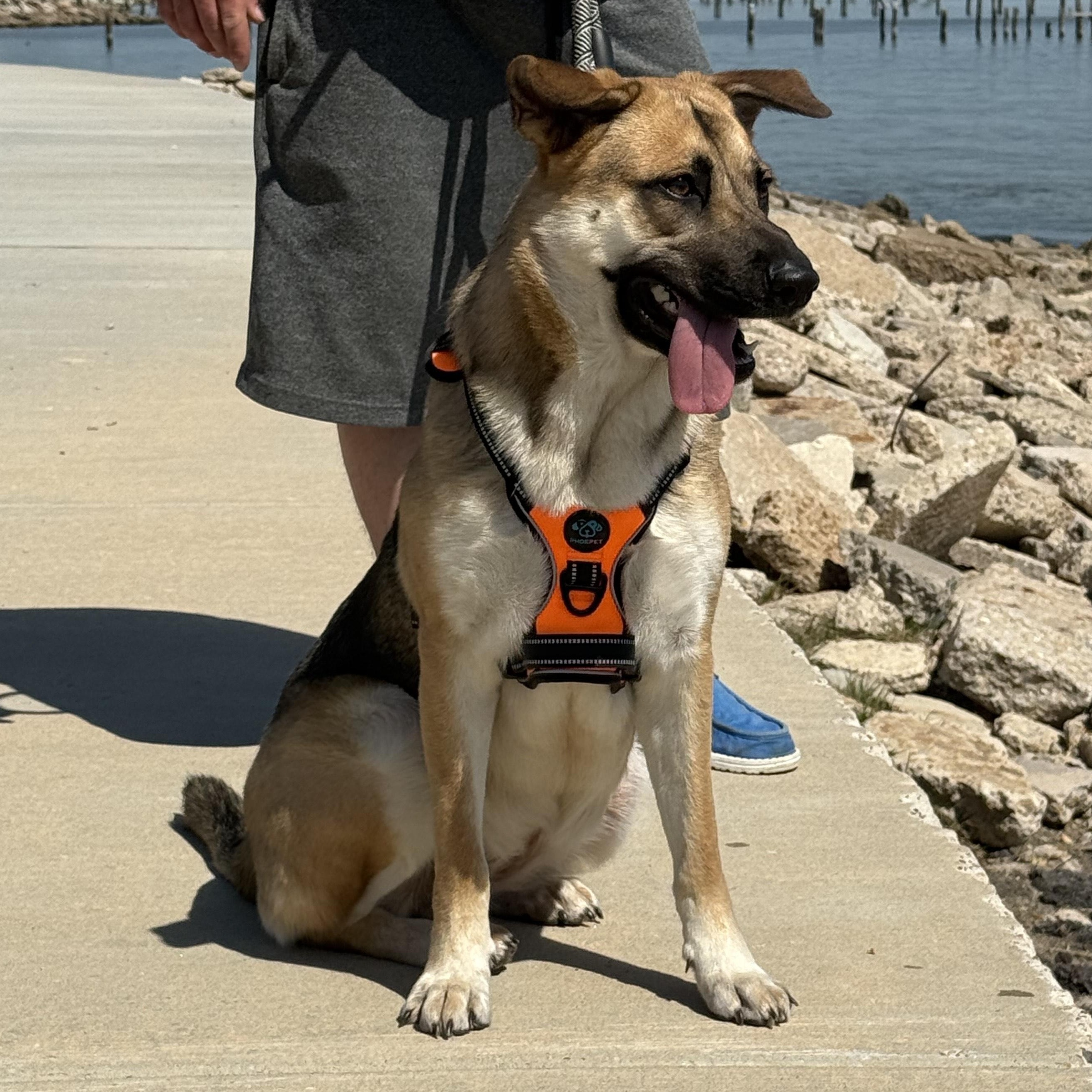 Crosby — thumbnail 5