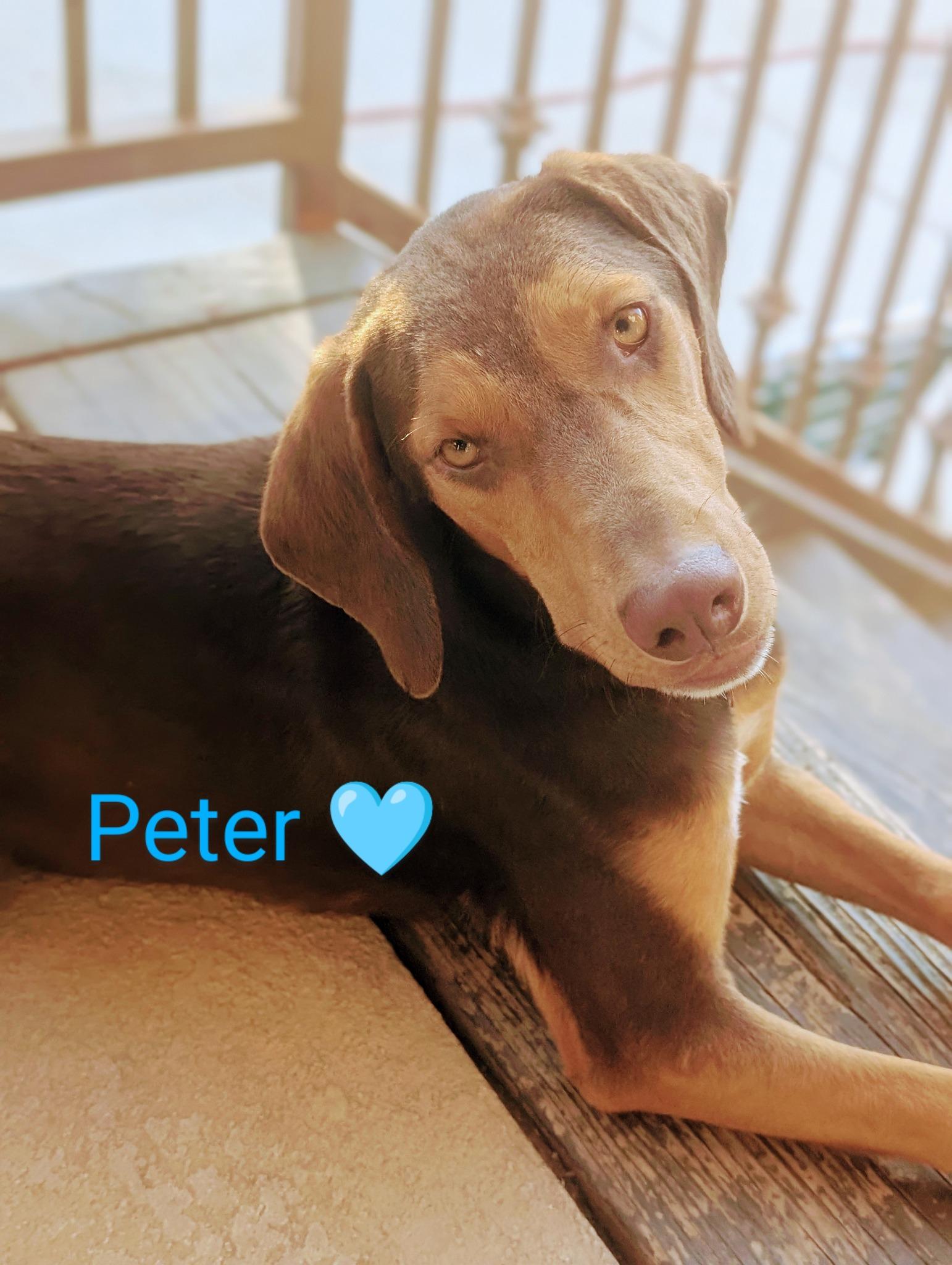 Peter 3