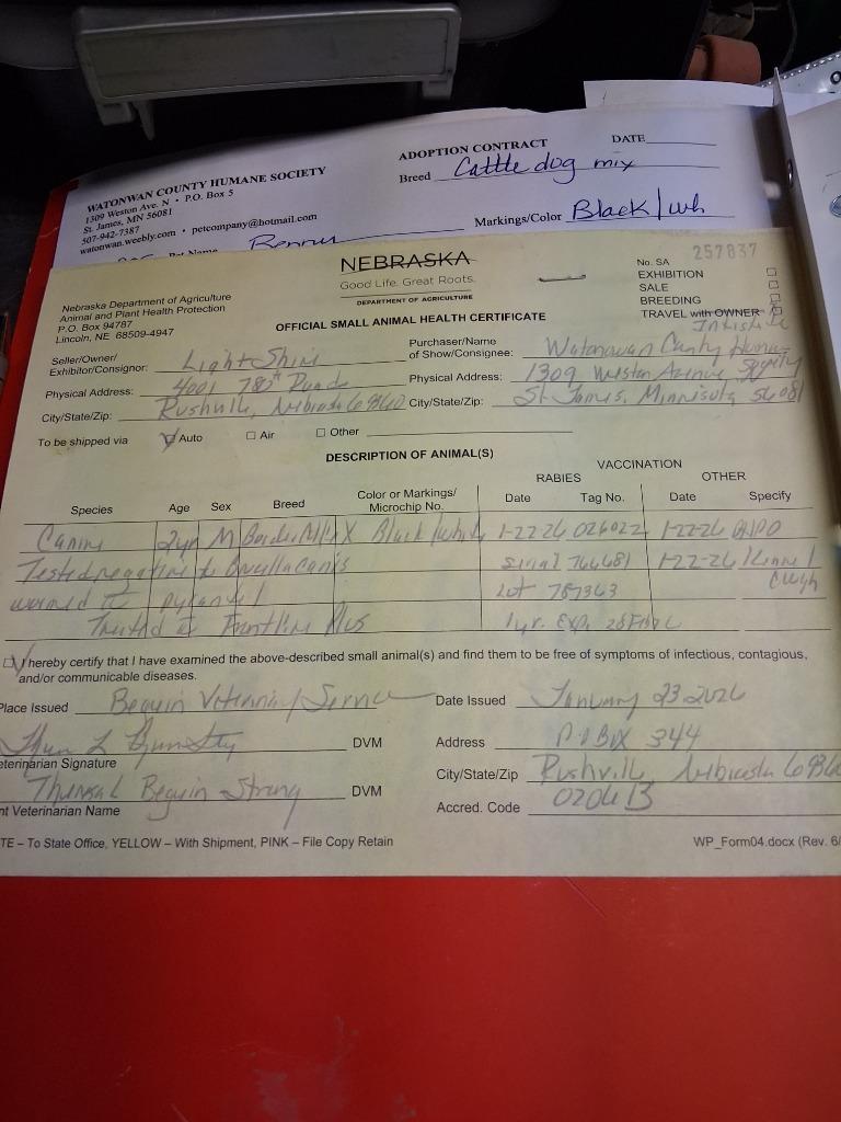 Enlarge Benny, a Adoptable mixed breed in Saint James, MN image 6/6