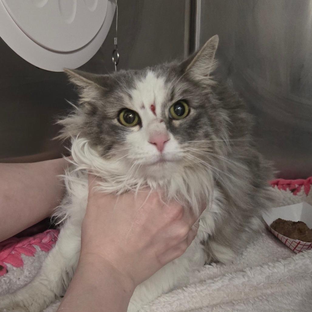 Squirt — thumbnail 2