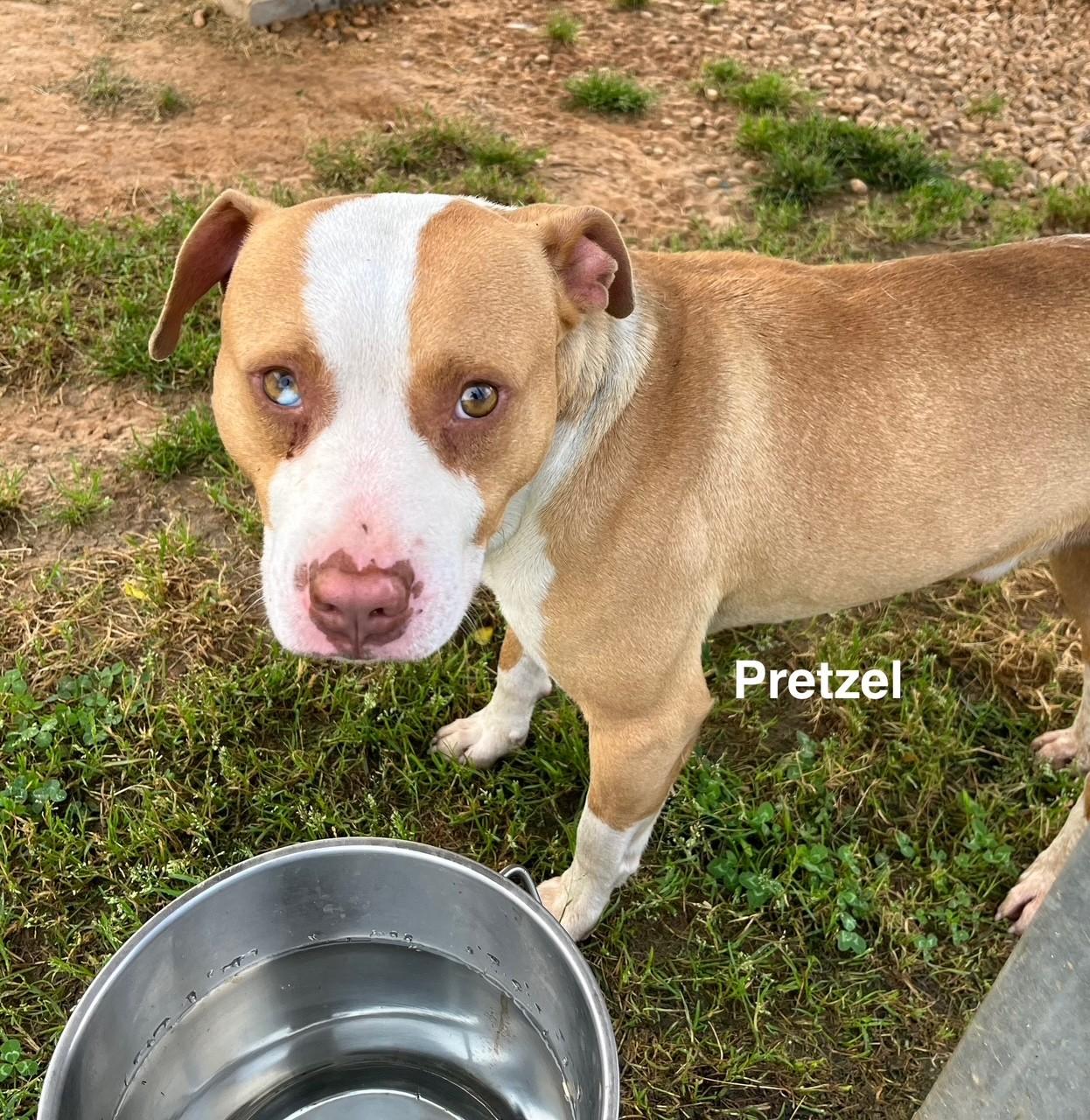 Pretzel thumbnail 2