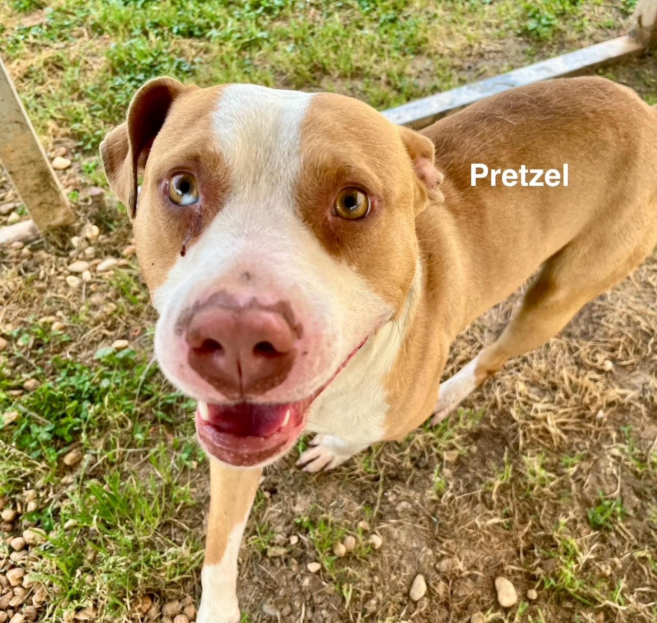 Pretzel thumbnail 4