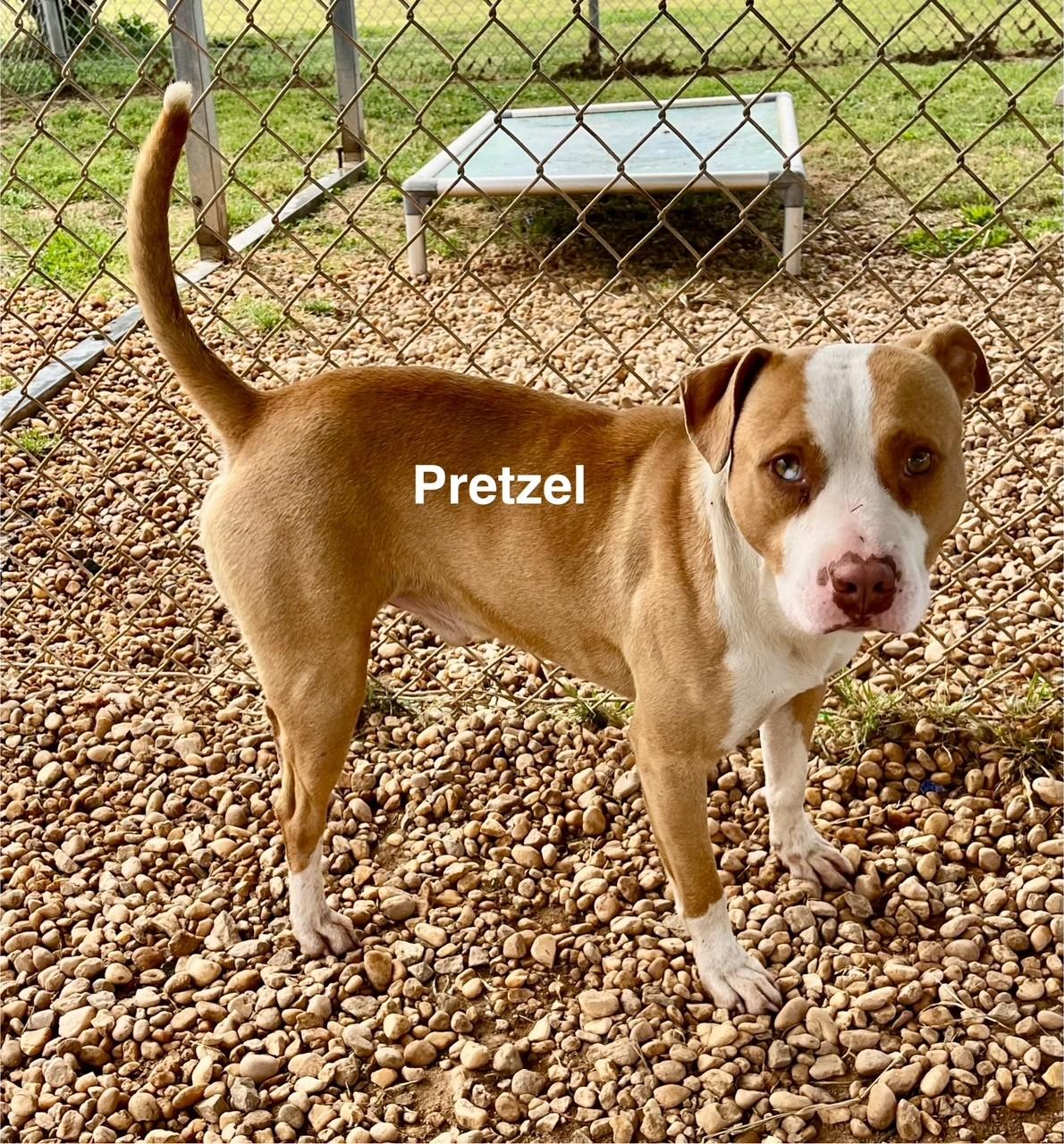 Pretzel thumbnail 5