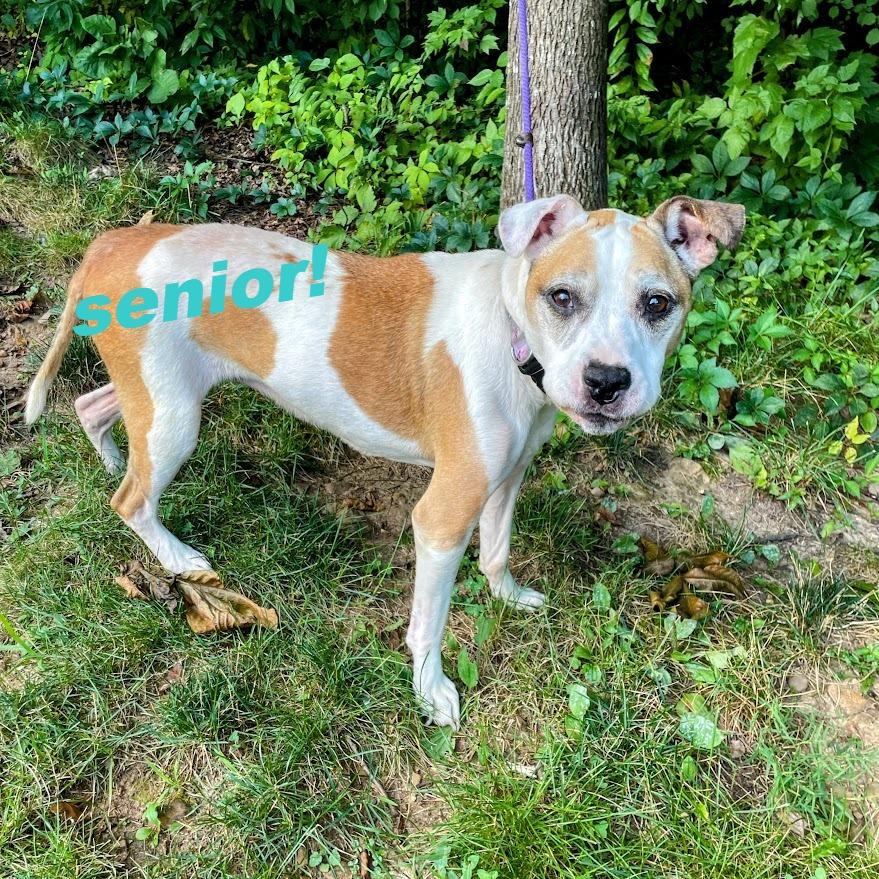 Ol' Lady — thumbnail 2