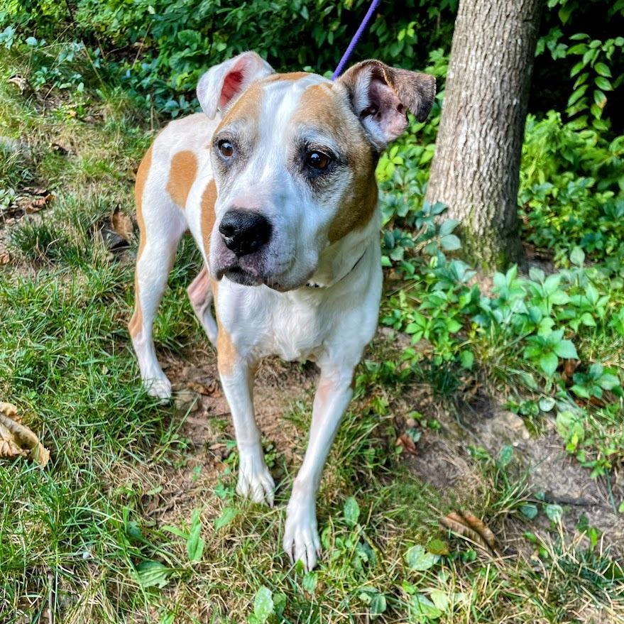 Ol' Lady — thumbnail 3