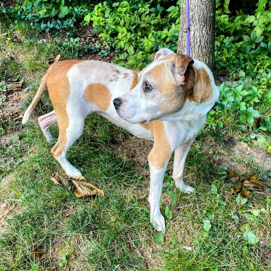 Ol' Lady — thumbnail 4