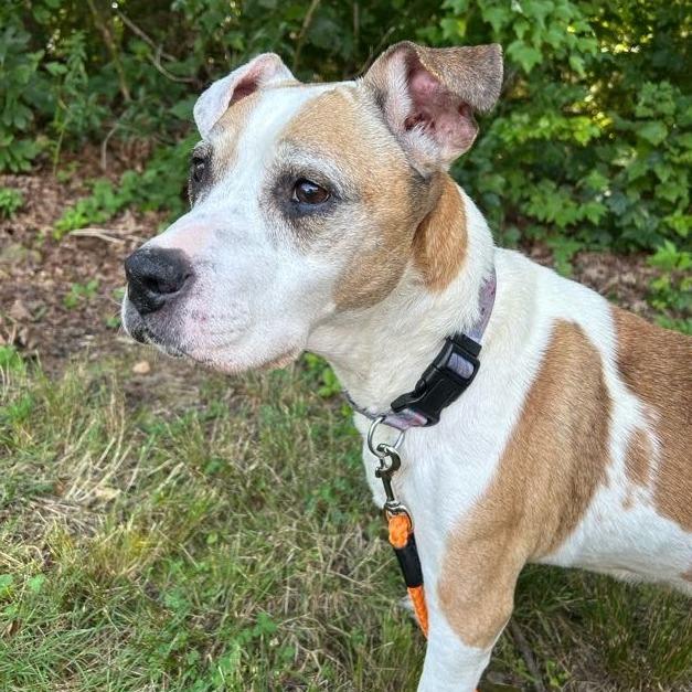 Ol' Lady — thumbnail 5