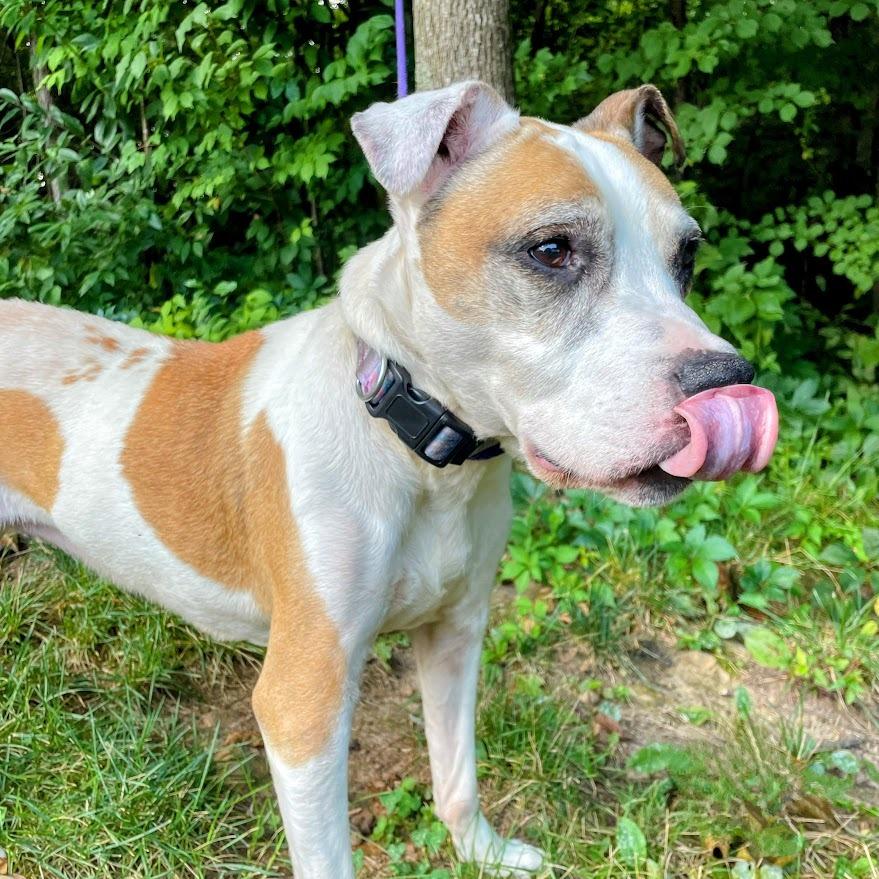 Ol' Lady — thumbnail 6