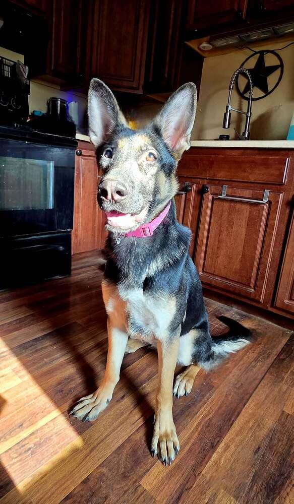 Ruby Mae thumbnail 3