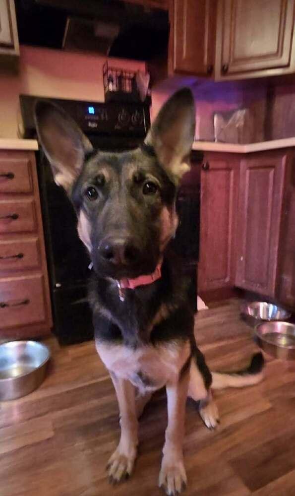 Ruby Mae thumbnail 4