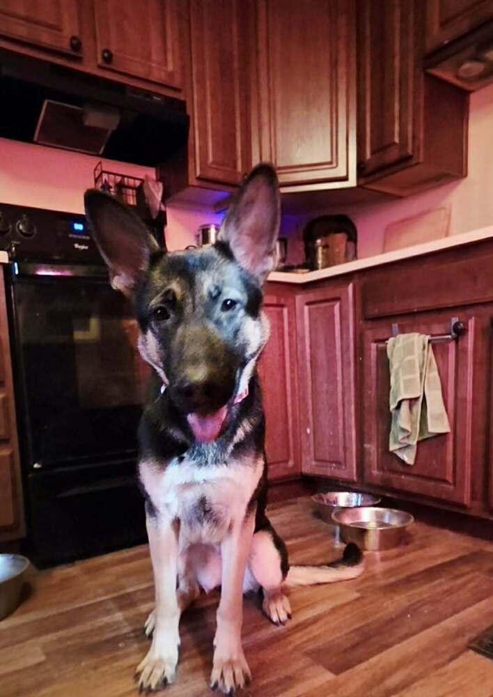 Ruby Mae thumbnail 5