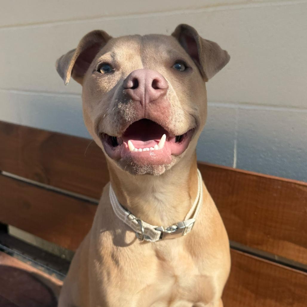 Cole — thumbnail 2