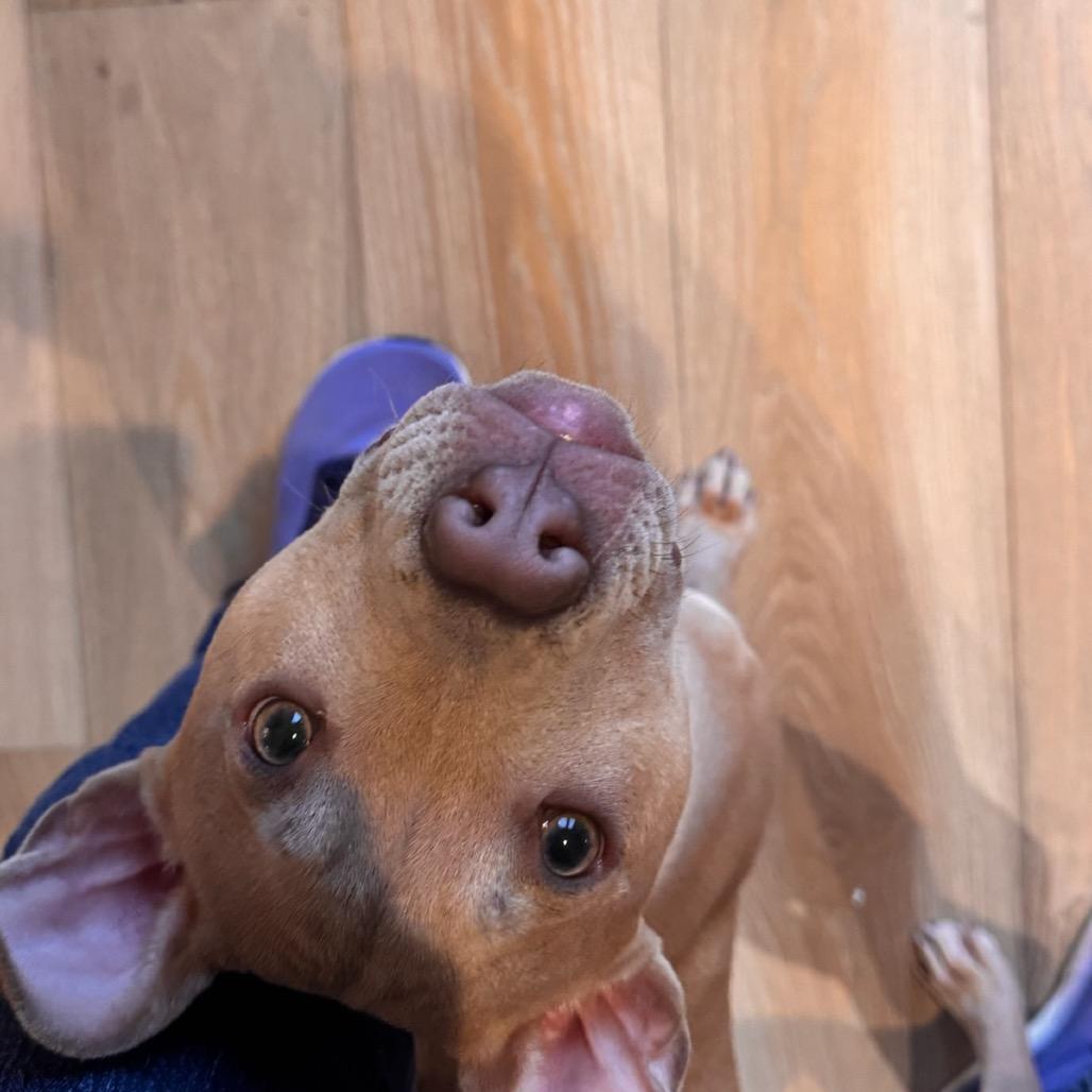 Cole — thumbnail 3